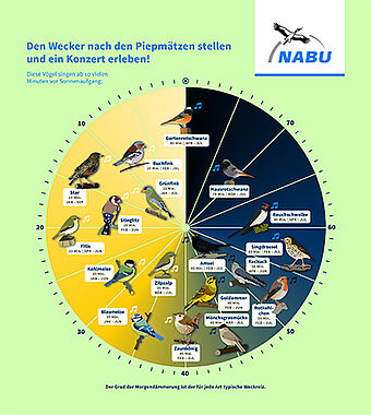 NABU-Vogeluhr